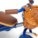 blue-trike-handle